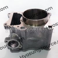 Genuine New Engine Cylinder Hyosung MS3 250